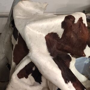 Cowhide Door Mat - Brown and White